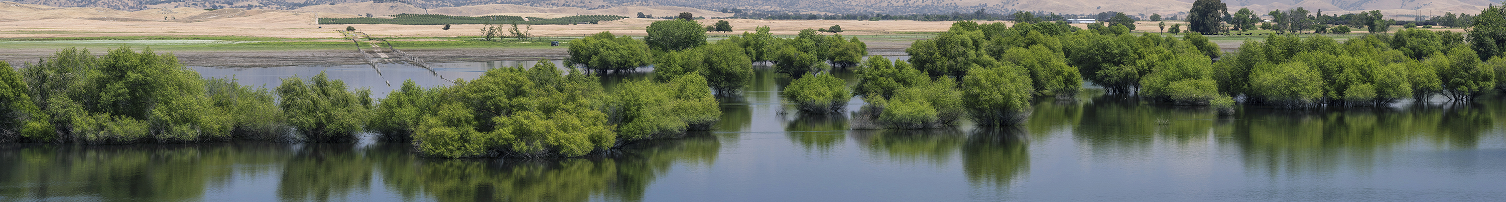 Fresno Metropolitan Flood Control District photo 1 in Fresno