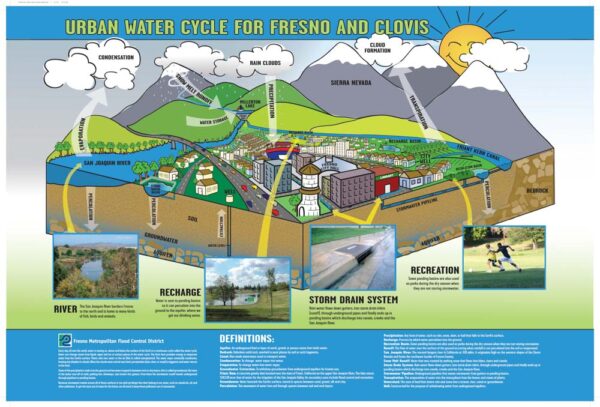 Urban Water Cycle Poster
